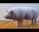 michael lohde modeling texturing zbrush
